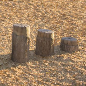 Tree Stumps