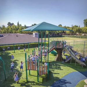Village Green Playground Structure