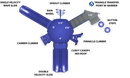 Sentinal