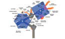 Neptune Playground Structures