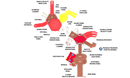 Fun Zone