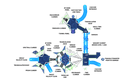 Orion