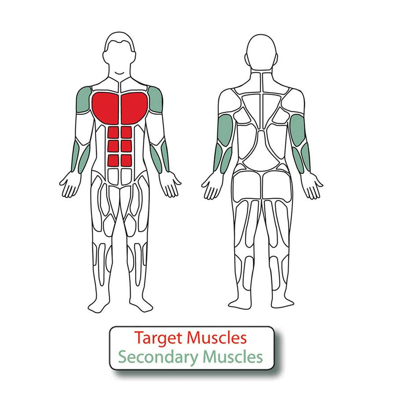 2-Person Accessible Chest Press – Inclusive Outdoor Upper Body Strength Trainer