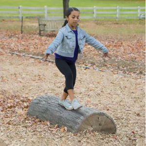 Half Log Balance Beam
