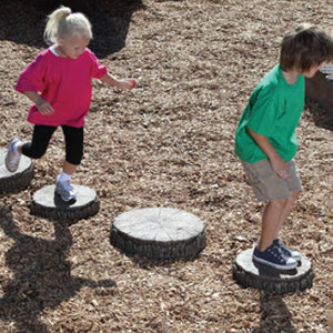 Tree Slices - Set Of 5