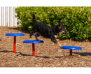 Intermediate Dog Park Course