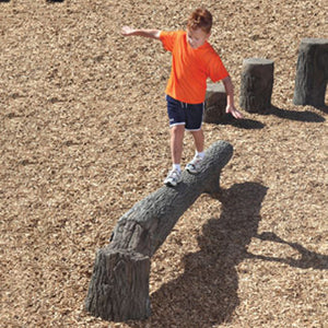 Fallen Tree Balance Beam