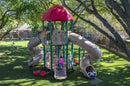 Briar Grove Playground Structure