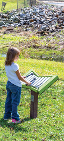 Freenotes Early Childhood  Ensemble Collection