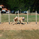 Weave Posts - Agility Obstacle