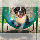 Doggie Crawl Tunnel