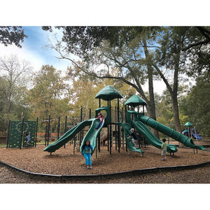 Banyan Tree Playground Structure
