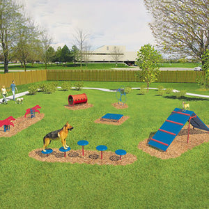 Bliss Products and Services Playground & Outdoor Equipment