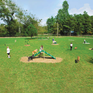Expert Dog Park Course