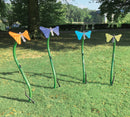 Freenotes Butterflies Ensemble Collection
