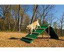 Intermediate Dog Park Course