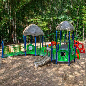 Newport Playground Structure