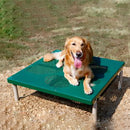 Paws Grooming Table